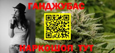 шишки Гай