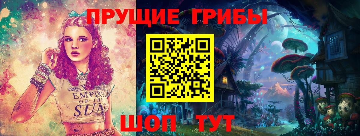 Галлюциногенные грибы прущие грибы  Вход с VPN  Нальчик 